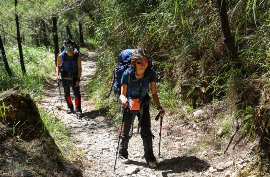 一支登山杖優點 一支登山杖優點