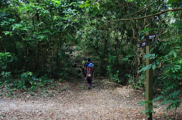 台泥登山口攻略 台泥登山口攻略