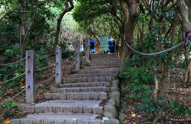 台泥登山口攻略 台泥登山口攻略