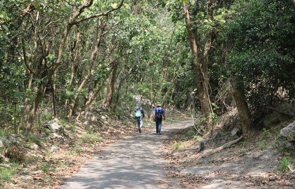 柴山台泥登山口評論 柴山台泥登山口評論