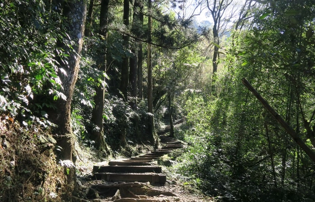 大凍山登山 大凍山登山