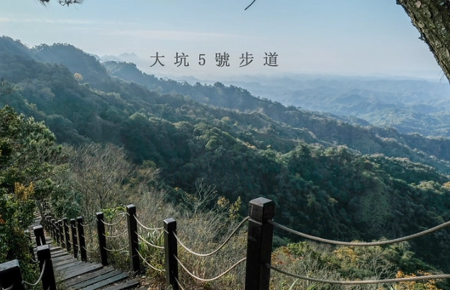 大坑五號步道怎麼去