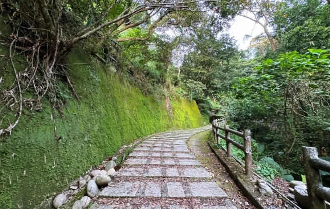 大坑1號步道交通