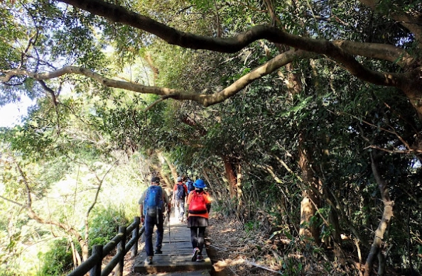 北部賞楓步道 北部賞楓步道
