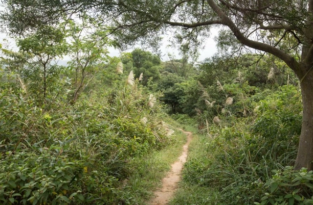 桃園龜山步道 桃園龜山步道