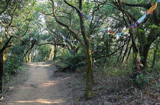 福源山步道難度 福源山步道難度