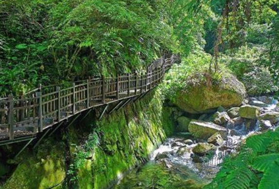 尖石鄉登山步道 尖石鄉登山步道