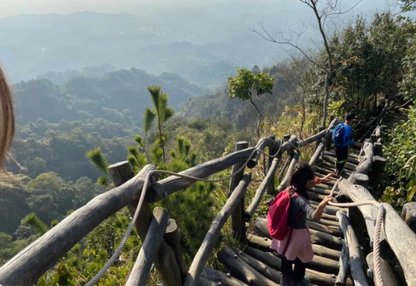 大坑五號步道公車
