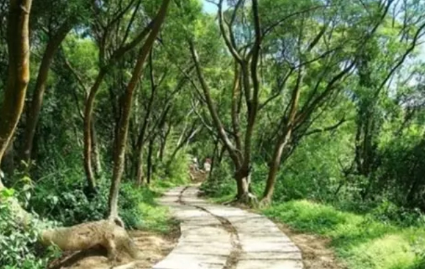 新竹步道推薦 新竹步道推薦