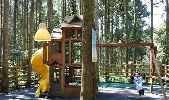 新竹森林遊樂區交通