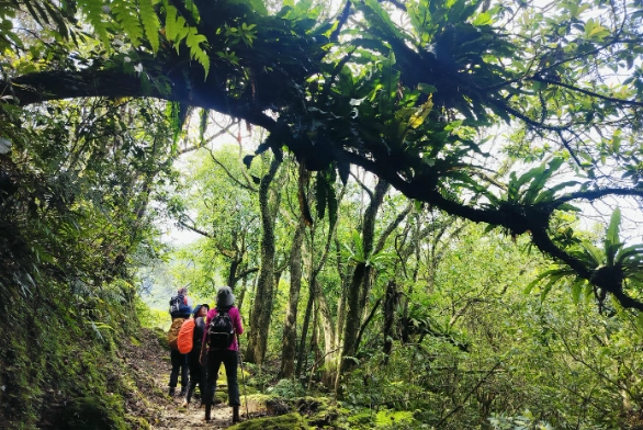 新竹爬山景點 新竹爬山景點