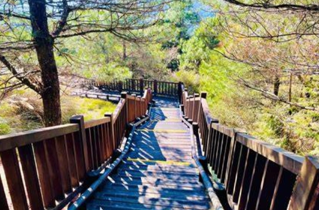 新竹森林遊樂區門票