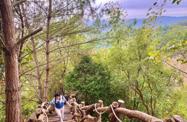 大坑步道停車 大坑步道停車