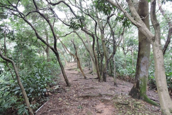 桃園龜山步道 桃園龜山步道