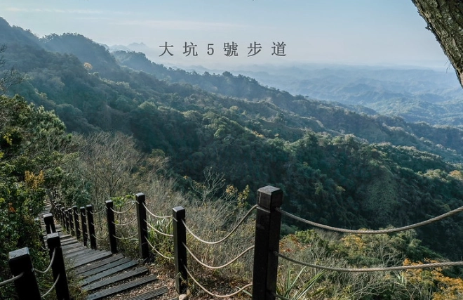 大坑5號步道路線