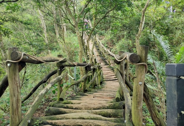 大坑五號步道怎麼去