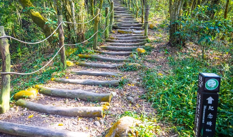 大坑五號步道公車