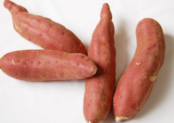 番薯粉營養 番薯粉營養