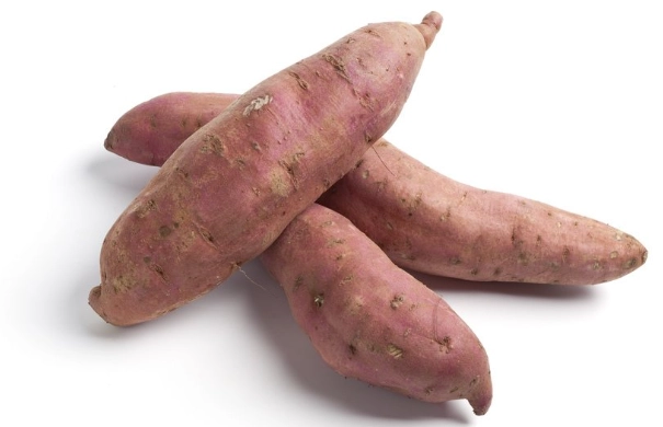 地瓜粉選擇 地瓜粉選擇