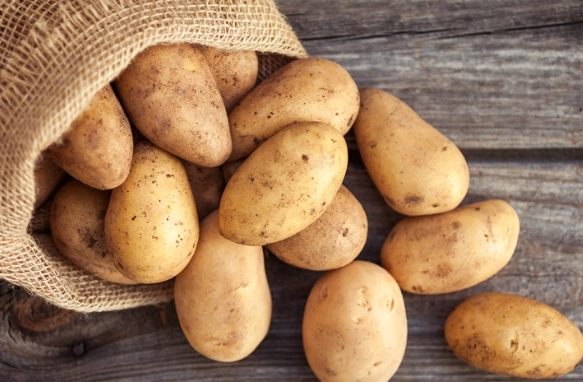 馬鈴薯營養