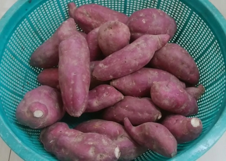 栗子地瓜熱量 栗子地瓜熱量