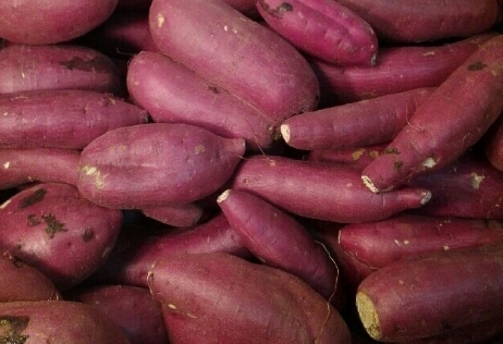 地瓜營養價值 地瓜營養價值