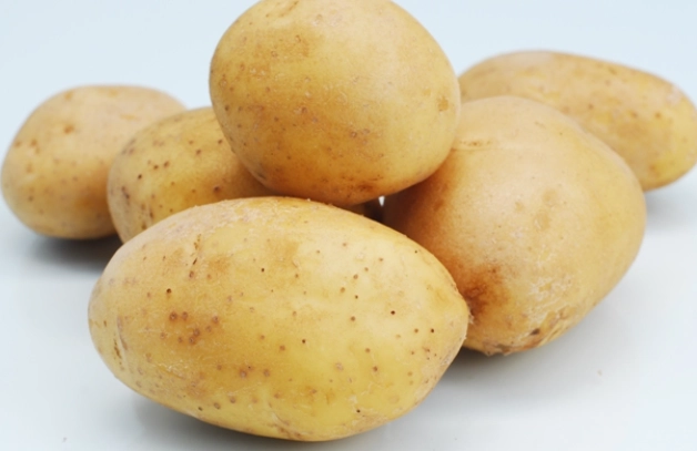 馬鈴薯營養成分 馬鈴薯營養成分