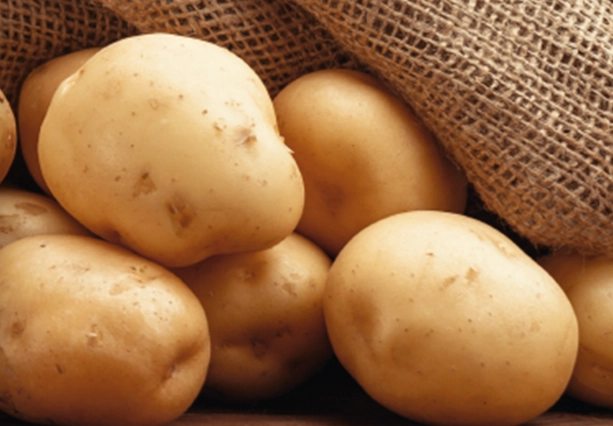 馬鈴薯健康飲食 馬鈴薯健康飲食