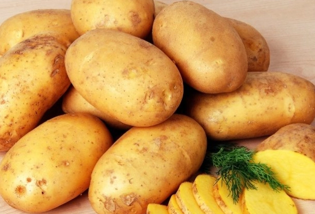 馬鈴薯營養成分 馬鈴薯營養成分