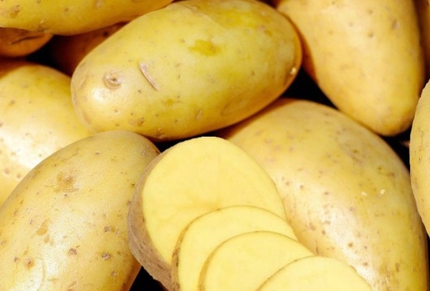 馬鈴薯健康飲食 馬鈴薯健康飲食