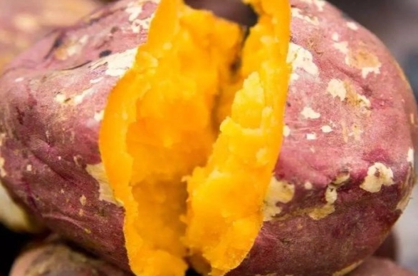 地瓜減肥熱量 地瓜減肥熱量