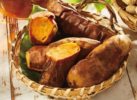 地瓜每日攝取量 地瓜每日攝取量