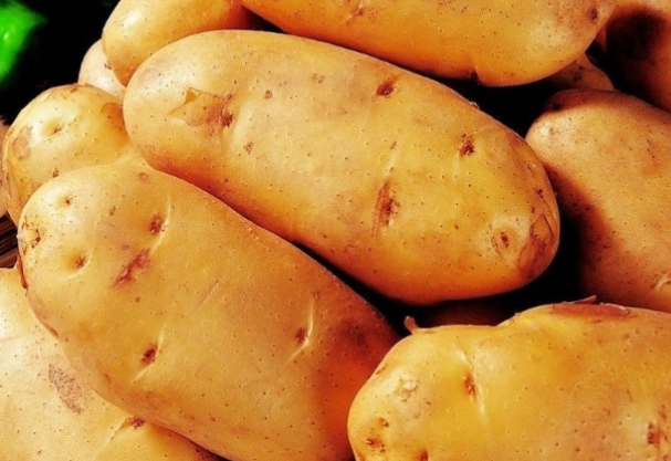 馬鈴薯熱量 馬鈴薯熱量