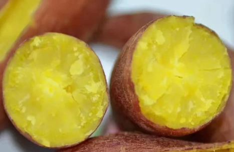 地瓜健康吃法 地瓜健康吃法