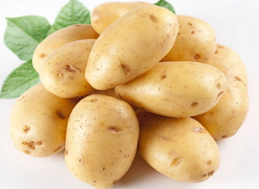 馬鈴薯熱量 馬鈴薯熱量