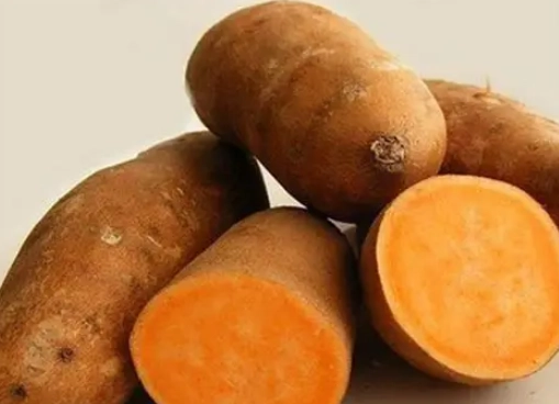 地瓜副作用 地瓜副作用