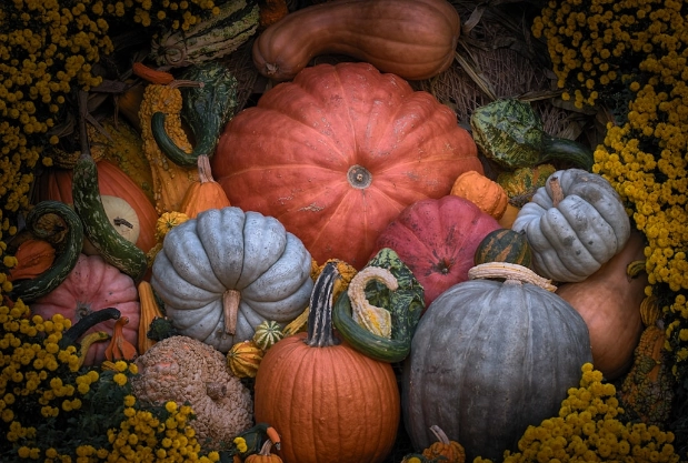 誰不能吃地瓜 誰不能吃地瓜