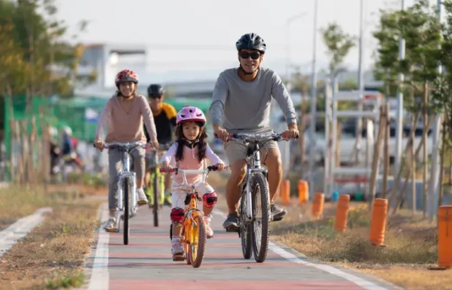 運動保險比較 運動保險比較