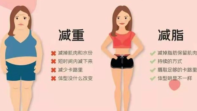 減脂方法 減脂方法